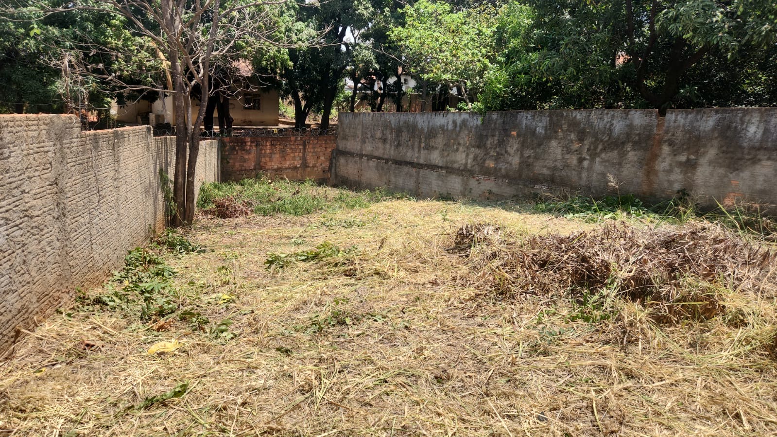 Lote 313m no Sagrada Famila