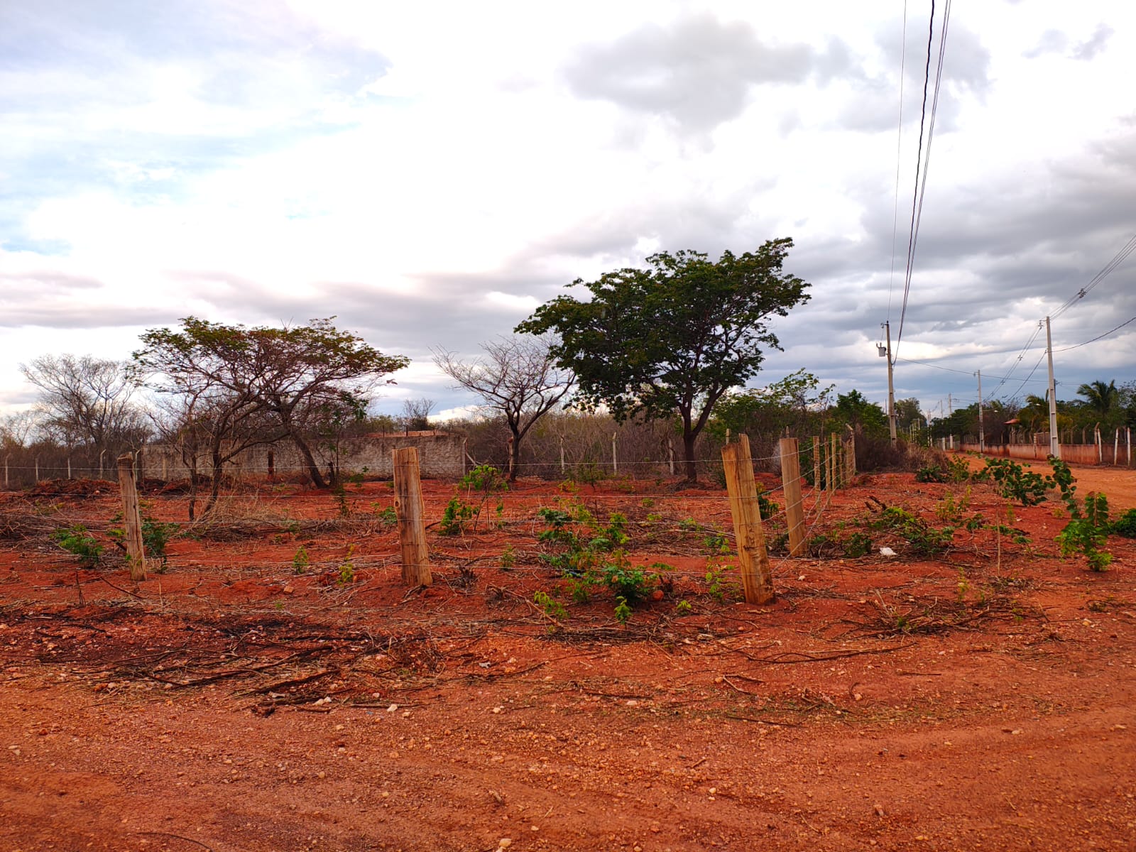 LOTEAMENTO BELVEDERE