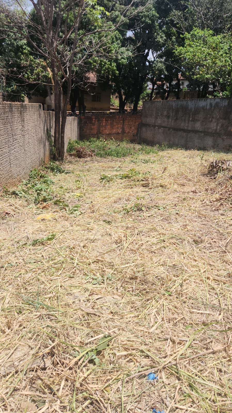 Lote 313m no Sagrada Famila