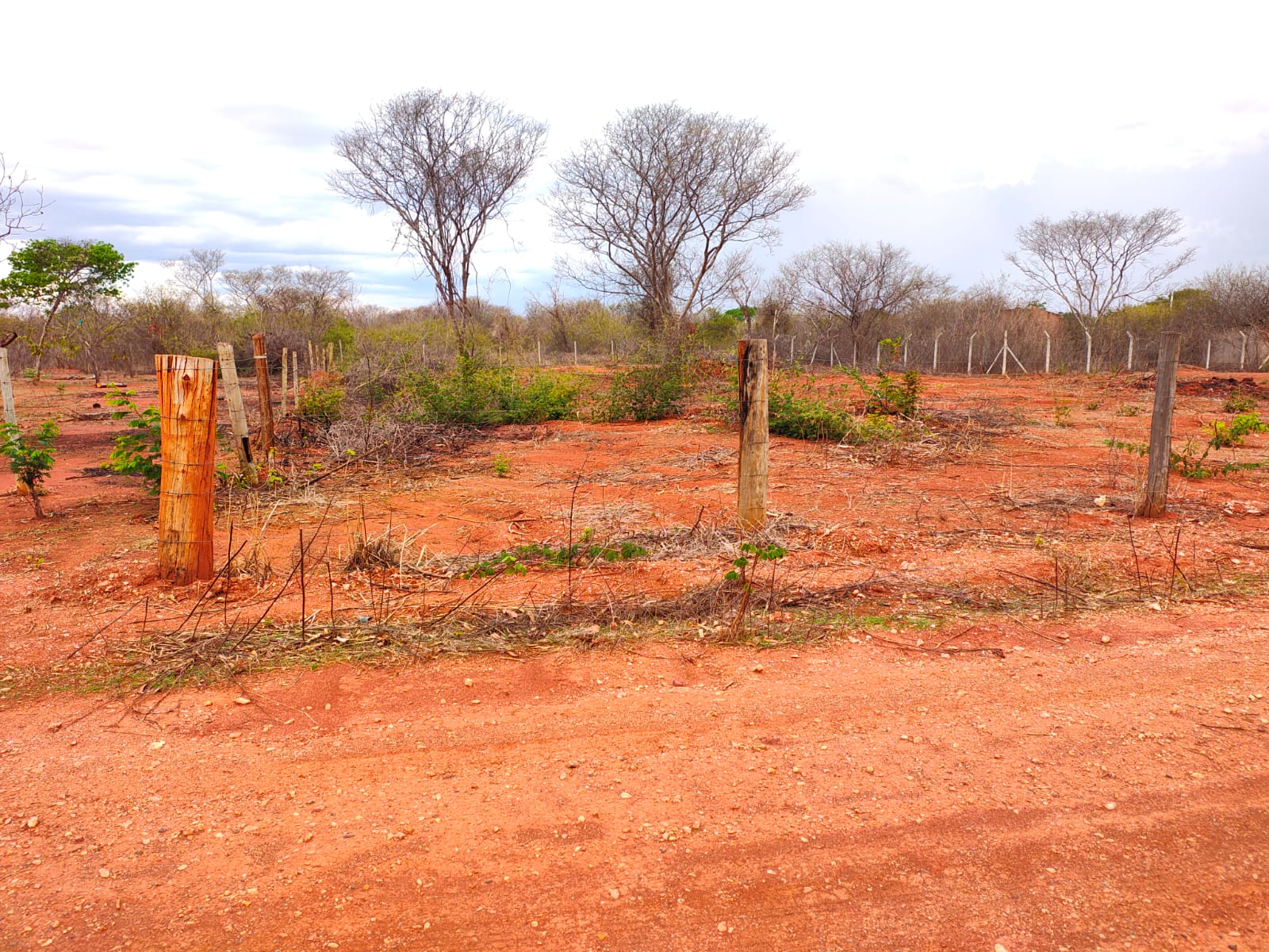 LOTEAMENTO BELVEDERE