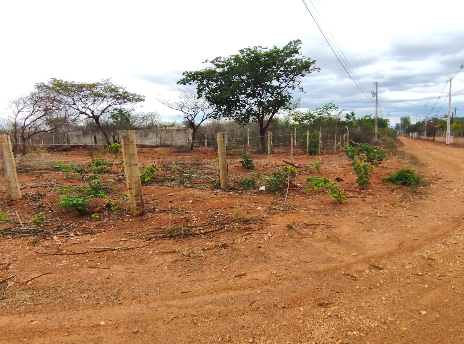 LOTEAMENTO BELVEDERE