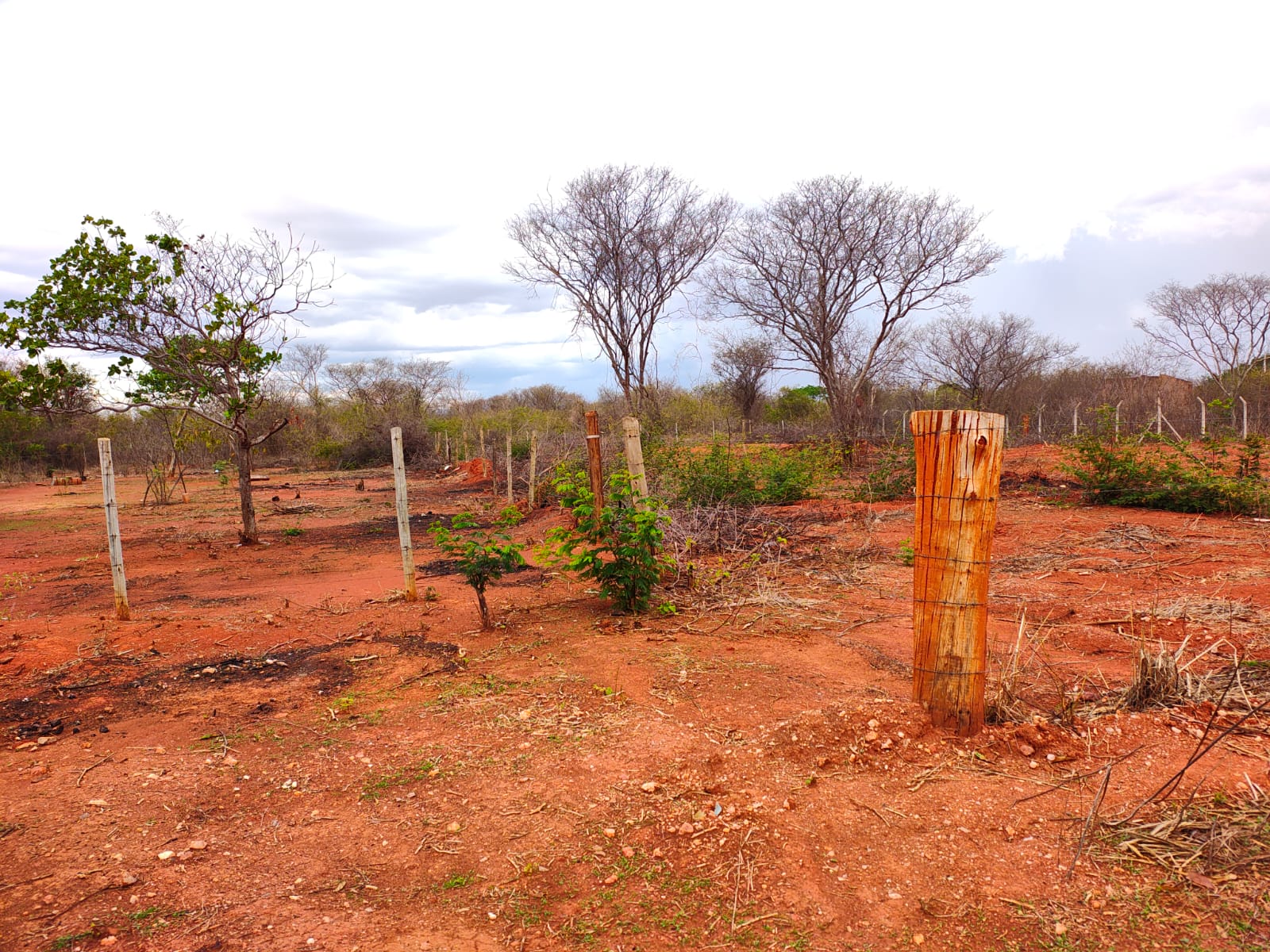 LOTEAMENTO BELVEDERE