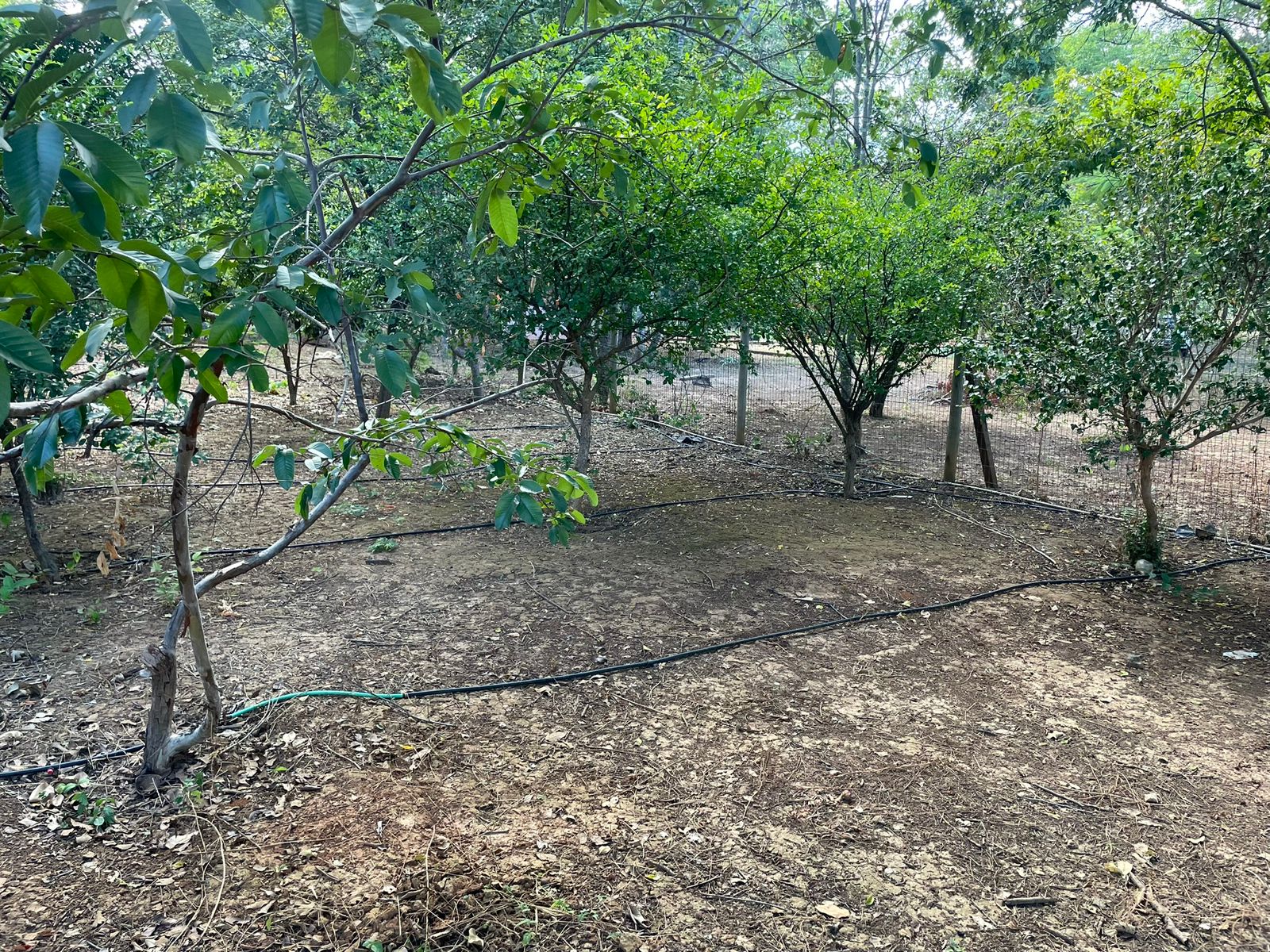 Vendo Chácara com Casa nas Cabeceiras