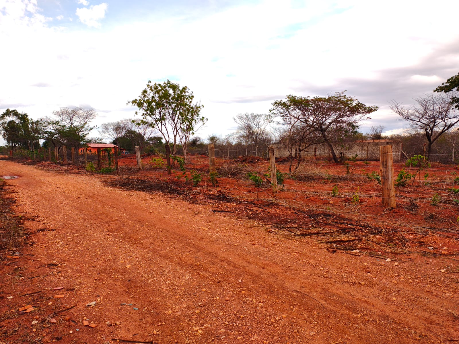 LOTEAMENTO BELVEDERE