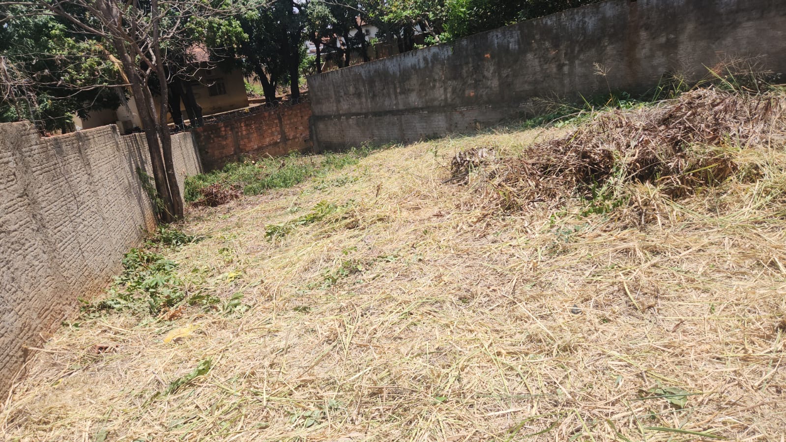 Lote 313m no Sagrada Famila