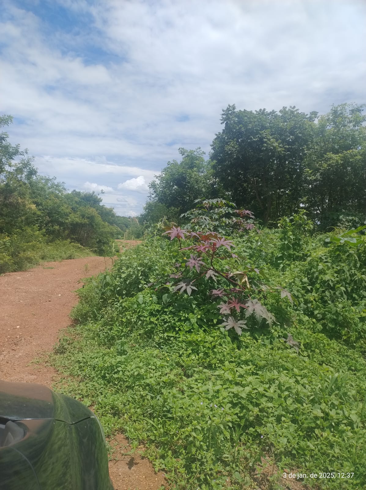 Excelente Lote em Brasília de Minas