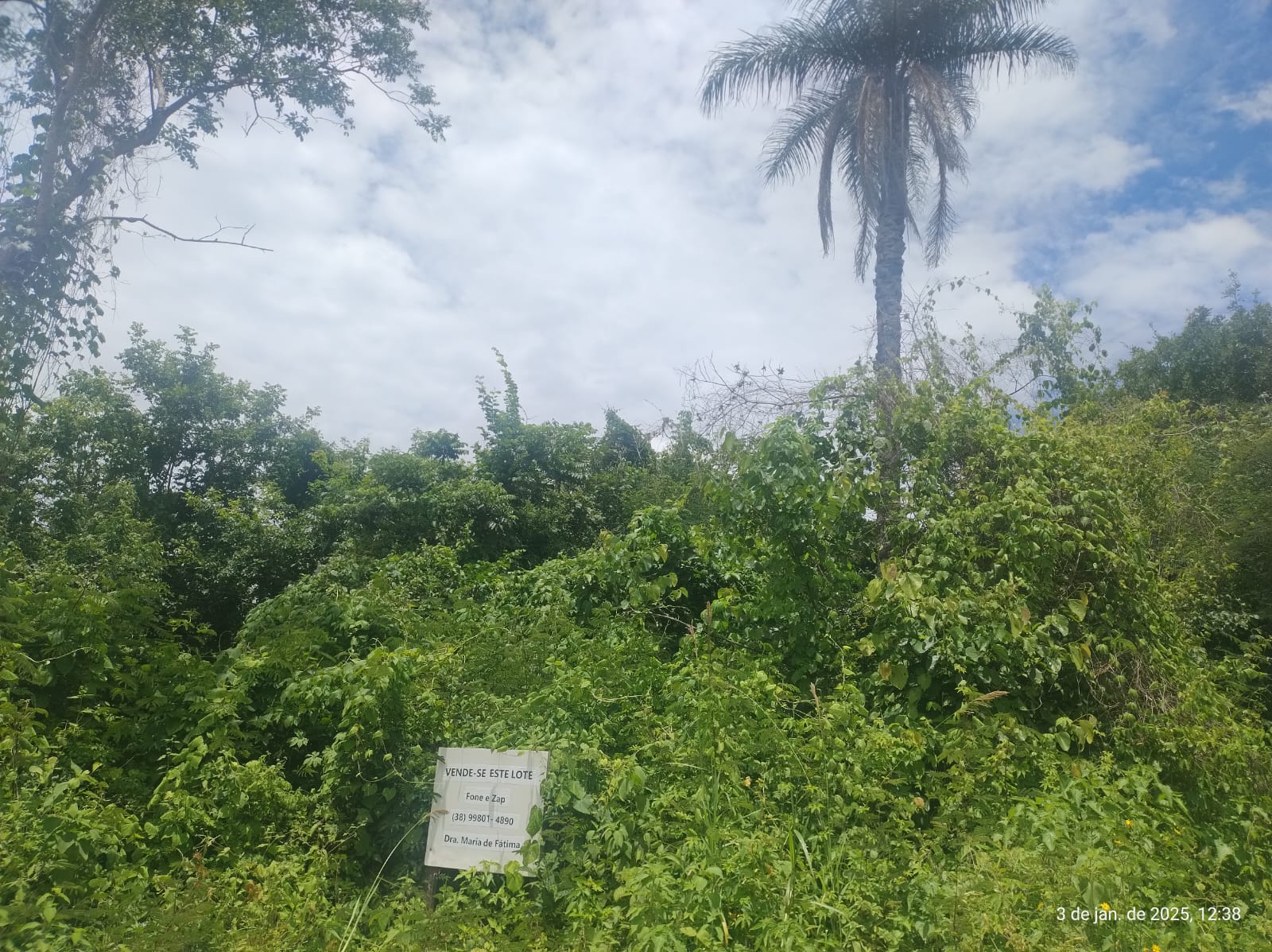 Excelente Lote em Brasília de Minas
